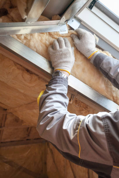 Best Insulation Maintenance and Repair in Skyline Ganipa, NM