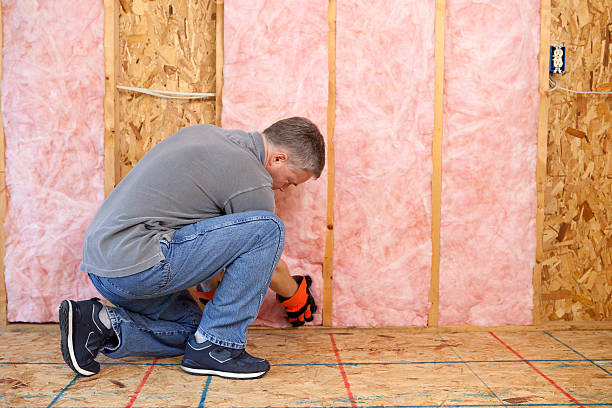 Best Insulation Installation Services in Skyline Ganipa, NM