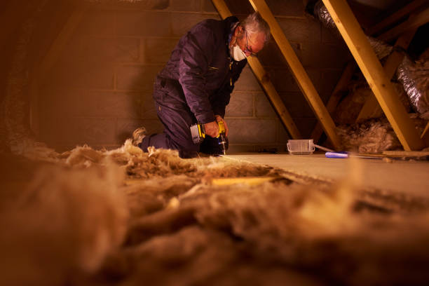 Best Insulation Installation Services in Skyline Ganipa, NM